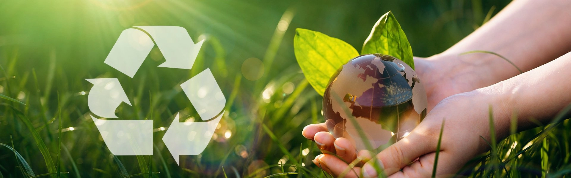 Globe Tape R-PET Eco Packaging Tape Product Image