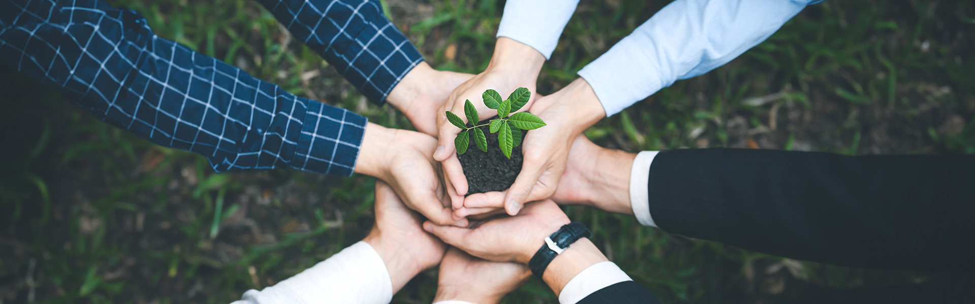 地球綜合工業股份有限公司 永續發展 抬頭圖