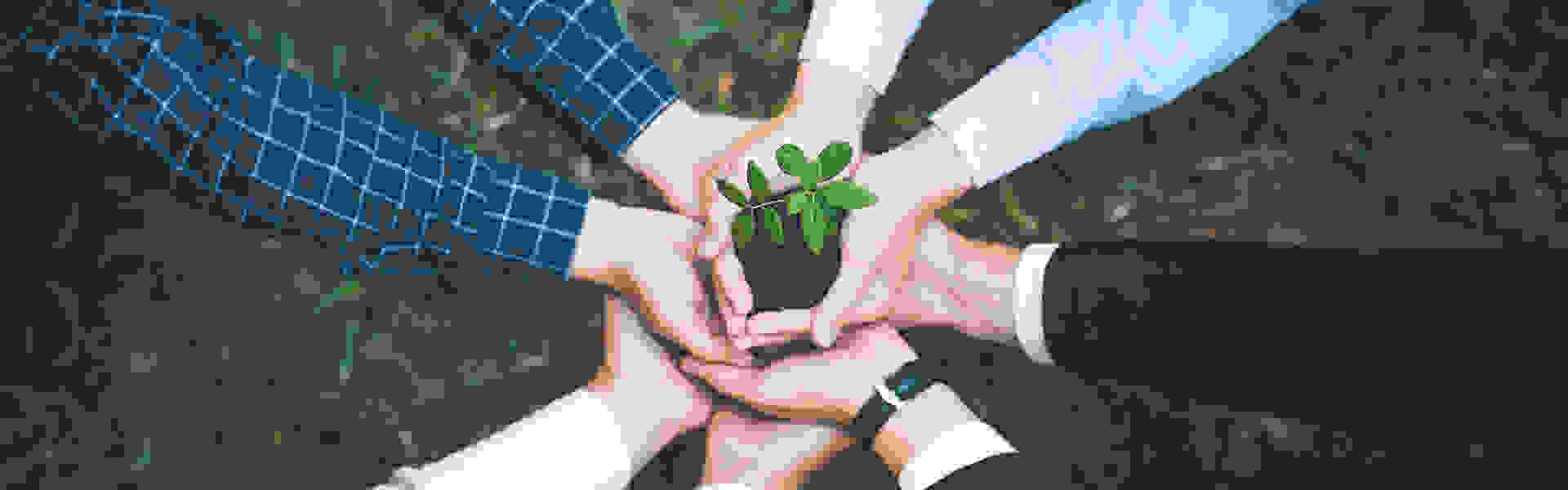 地球綜合工業股份有限公司 永續發展 抬頭圖