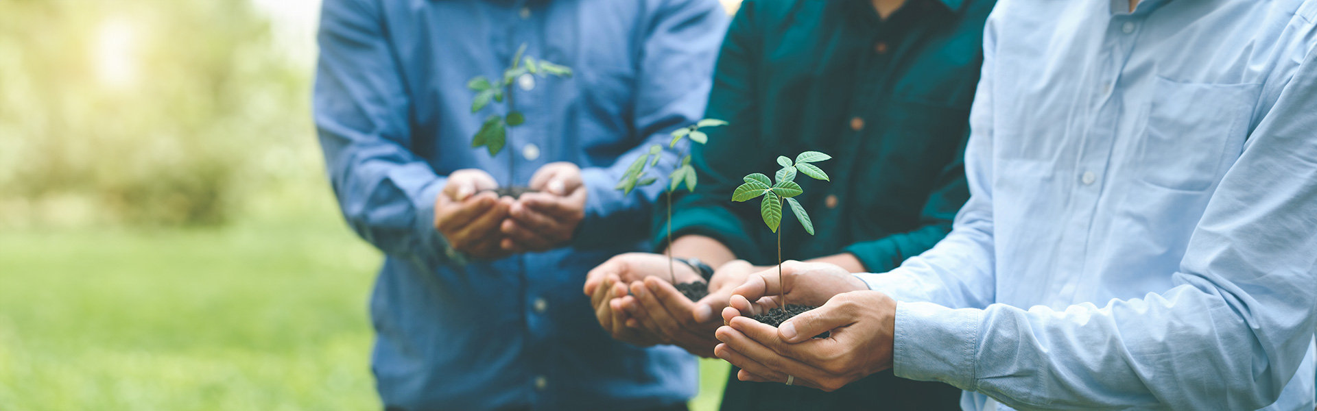 地球綜合工業股份有限公司 溫室氣體資訊 抬頭圖