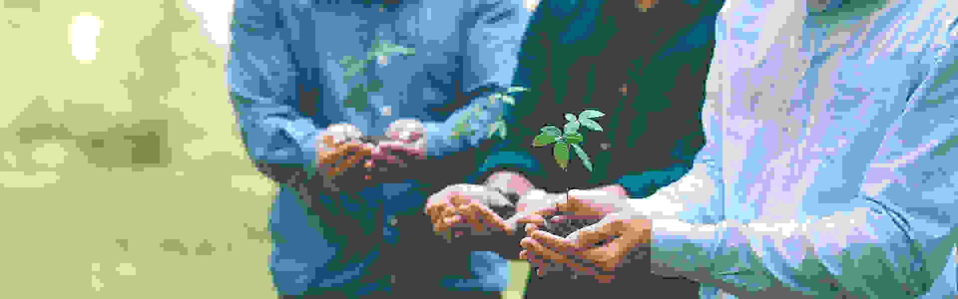 地球綜合工業股份有限公司 溫室氣體資訊 抬頭圖